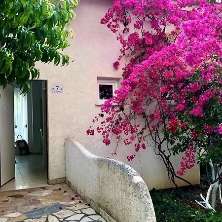 Apartment Bougainville Villa-lemon *