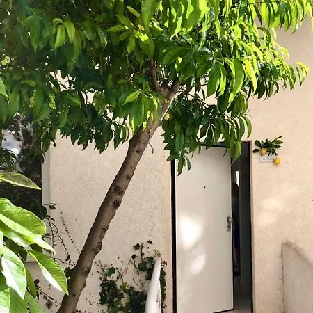 Bougainville Villa-lemon Sarande